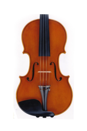 Marcello Bellei, Modena 2014