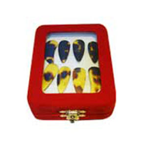 Top grade Hawksbill Guzheng finger nails with left hand